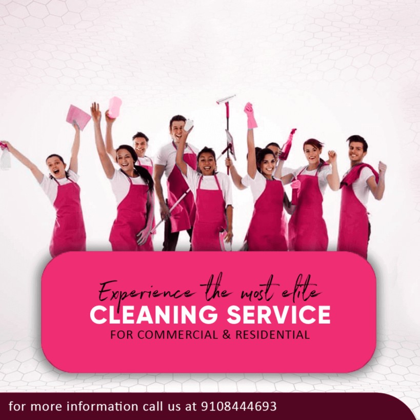Pinkclean's deep cleaning team