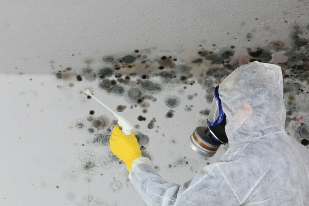 Mold & Mildew Removal After Goa's Monsoon: A Guide for Hotels and Resorts